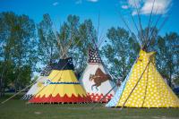 Four colourful tipis setup in field at 2024 tipi camp