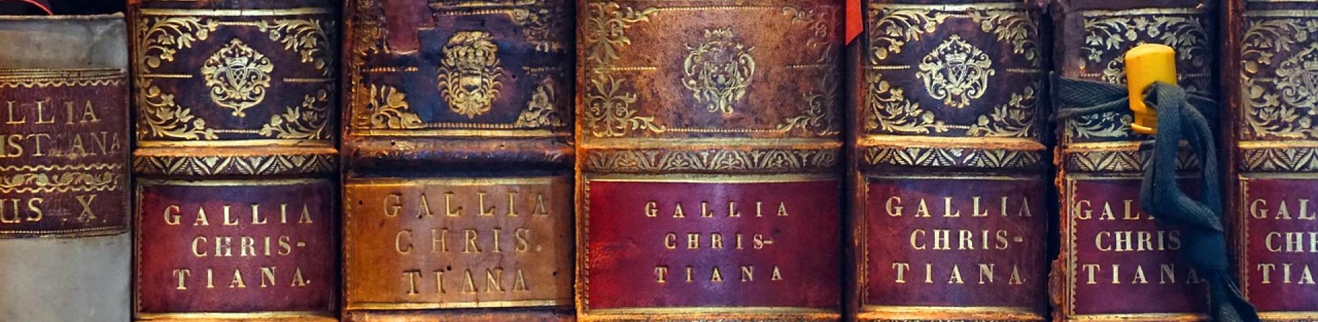 Old books with red and brown leather covers, standing in a row. 