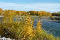 Photo of Sheep River