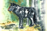 Watercolour painting of a black wolf in a green forest with yellow grass.