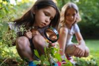 child with magnifying glass
