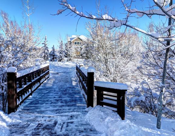walking bridge in park, covered in snow