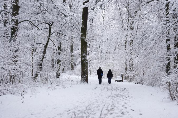 Couple walking in the winter on snowy path