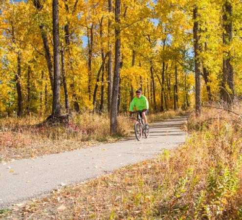 Man riding bike on pathway among trees with yellow fall leaves