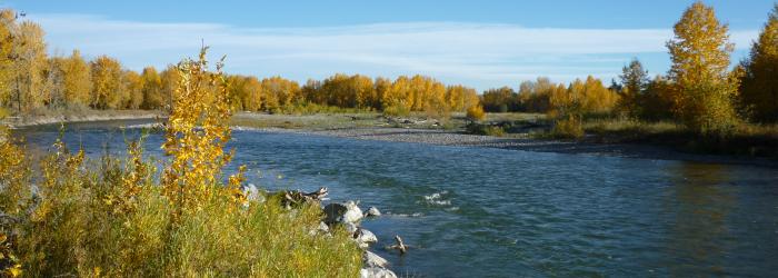 Sheep River