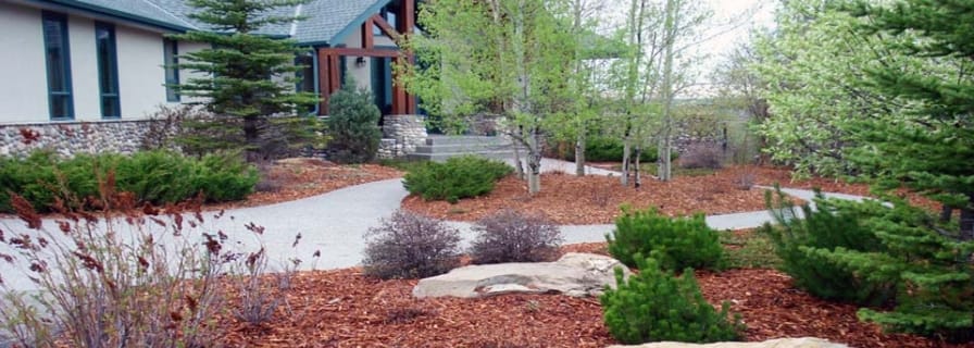 Why Use Mulch in your Yard? | The Town of Okotoks